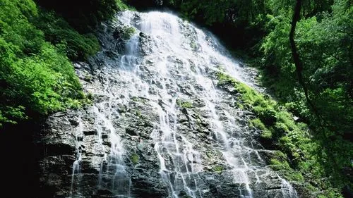 信息化绿色节能